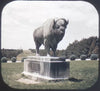 9 ANDREW - Nebraska - View-Master 3 Reel Economy Packet - vintage - NEBR-1,2,3-S3 Packet 3Dstereo 
