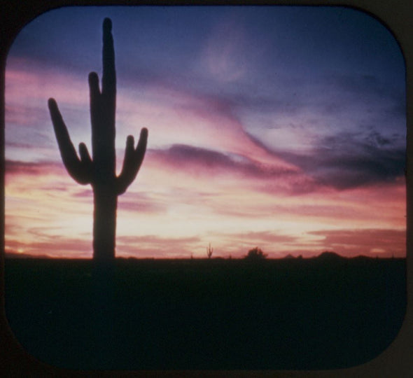 6 ANDREW - Painted Desert - View-Master 3 Reel Packet - 1948 - vintage - 176,177,178-S3 Packet 3dstereo 