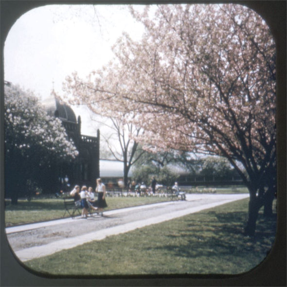 4 ANDREW - Phipps Conservatory - View-Master 3 Reel Packet - 1950s views - vintage - S2 Packet 3dstereo 
