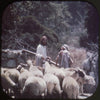 9 ANDREW - Parables of Jesus - View-Master 3 Reel Economy Packet - vintage - R-4,5,6-S3 Packet 3Dstereo 