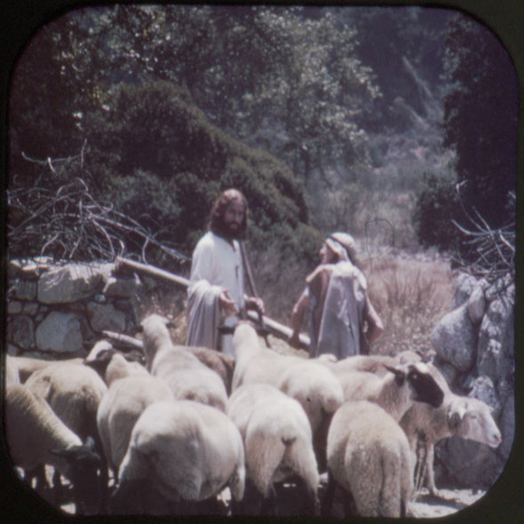 9 ANDREW - Parables of Jesus - View-Master 3 Reel Economy Packet - vintage - R-4,5,6-S3 Packet 3Dstereo 