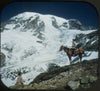 6 ANDREW - Mount Rainier National Park - View-Master 3 Reel Packet - vintage - 105,106,107-S2 Packet 3dstereo 