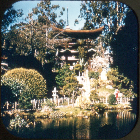 5 ANDREW - San Francisco - View-Master 3 Reel Packet - 1954 - vintage - 198-A,B,C-S3 Packet 3dstereo 