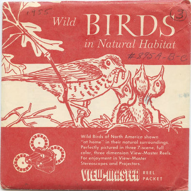 7 ANDREW - Wild Birds in Natural Habitat - View-Master 3 Reel Packet - vintage - 895-A,B,C-S2 Packet 3dstereo 