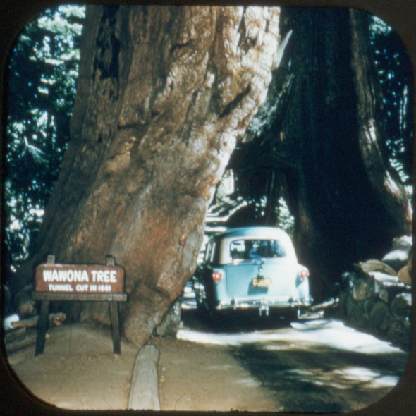 9 ANDREW - Yosemite - View-Master 3 Reel Packet - vintage - 131,132,133-S2 Packet 3Dstereo 