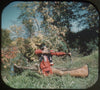9 ANDREW - Hunters of the Forests - View-Master 3 Reel Economy Packet - vintage - B722-S4 Packet 3Dstereo 