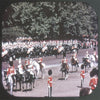 5 ANDREW - Trooping the Colour Ceremony - View-Master Single Reel - vintage - 1008 Reels 3dstereo 