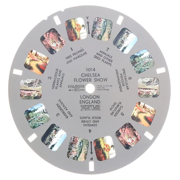 5 ANDREW - Chelsea Flower Show, London England - View-Master Single Reel - vintage - 1014 Reels 3dstereo 