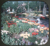 5 ANDREW - Tulip Time, Holland - View-Master Single Reel - #1920A - vintage Reels 3dstereo 