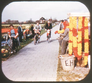 5 ANDREW - Tulip Time II, Holland - View-Master Single Reel - #1920B - vintage Reels 3dstereo 