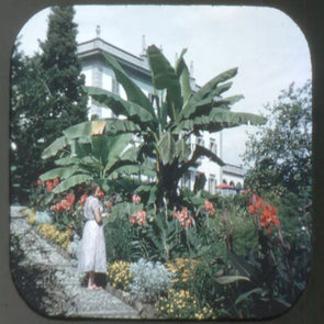 5 ANDREW - Locarno Ascona-Brissago, Switzerland - View-Master Single Reel - 1955 - vintage - 2041 Reels 3dstereo 