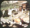 5 ANDREW - Upper Rhone Valley - Switzerland - View-Master Single Reel - #2050 - vintage Reels 3dstereo 