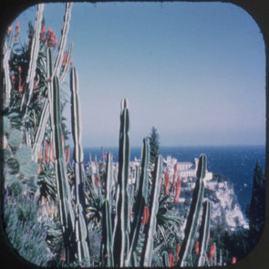 10 ANDREW - The Exotic Garden of Monaco - View-Master Single Reel - vintage - 2681 Reels 3dstereo 