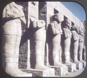 5 ANDREW - Luxor and El Karnax - Egypt - View-Master Single Reel - vintage - 3310 Reels 3dstereo 