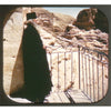 5 ANDREW - Wilderness of Judea - Palestine - View-Master Single Reel - 1949 - vintage - 4017 Reels 3dstereo 