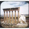5 ANDREW - Baalbek - The Roman Ruins Lebanon - View-Master Single Reel - 1952 - vintage - 4152 Packet 3dstereo 