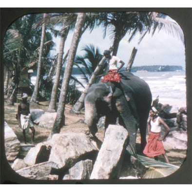 5 ANDREW - Ceylon II - Indian Ocean - View-Master Single Reel - 1957 - vintage - 4501B Packet 3dstereo 