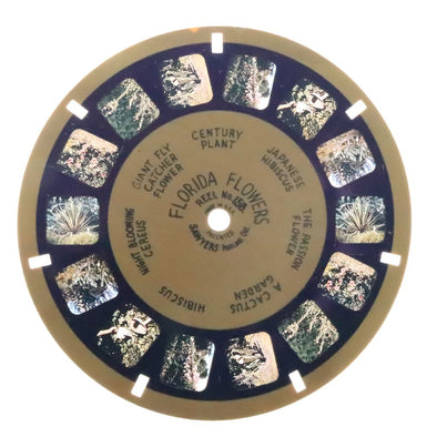 Florida Flowers - View-Master Blue Ring Reel - vintage - (BR-158c) Reels 3dstereo 