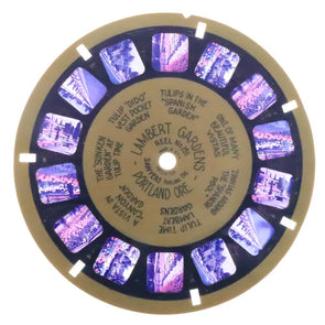 Lambert Gardens - Portland Oregon - View-Master Blue-Ring Reel - vintage (BR-191c) Reels 3dstereo 