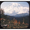 4 ANDREW - Rainier National Park - Paradise Side - View-Master Blue Ring Reel - vintage - 107 Reels 3dstereo 