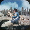 9 ANDREW - Rin-Tin-Tin - View-Master 3 Reel Economy Packet - vintage - 930-A,B,C-S3 Packet 3Dstereo 
