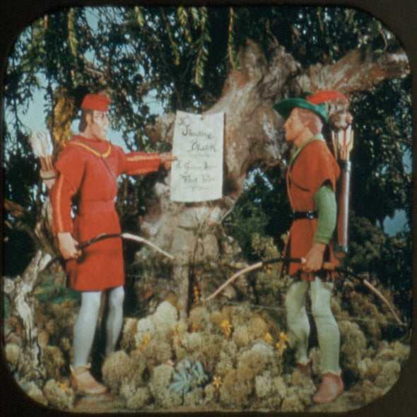 9 ANDREW - Robin Hood - View-Master 3 Reel Economy Packet - vintage - 972-A,B,C-S3 Packet 3Dstereo 