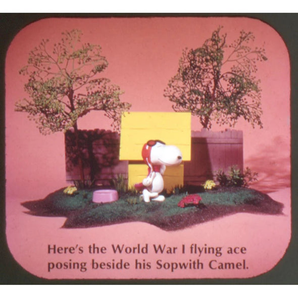 Snoopy & the Red Baron - View-Master - Vintage - 3 Reel Packet - 1970s views - ECO-B544-G3 Packet 3Dstereo 