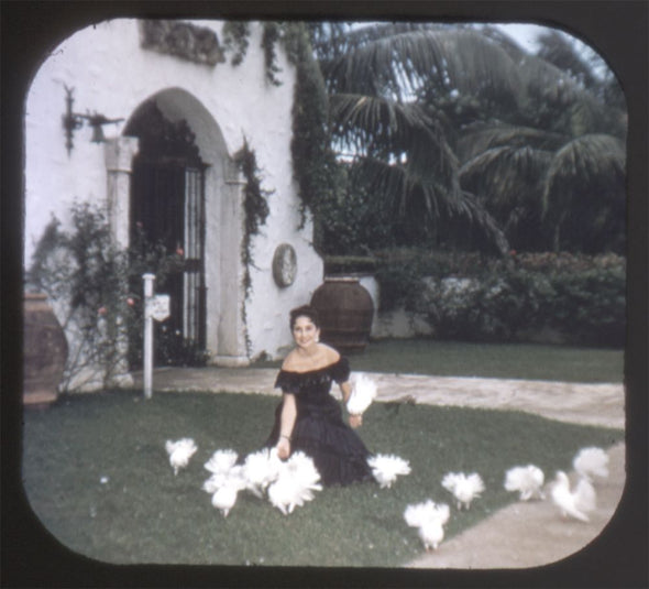 ANDREW 10 - Spanish Monastery - View-Master 3 Reel Economy Packet - vintage - 171ABC-S3 Packet 3Dstereo.com 