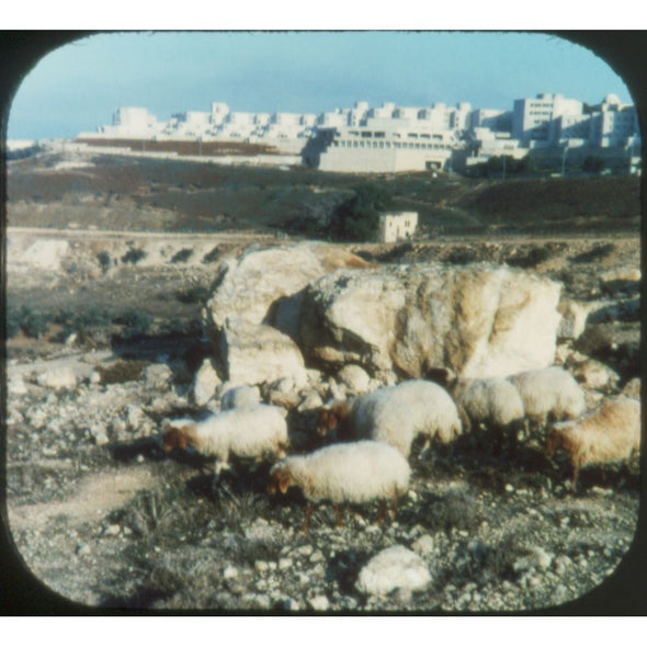 4 ANDREW - Jerusalem - View-Master 3 Reels on Card - vintage - 5332 VBP 3dstereo 