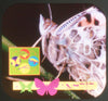 Bugs & Insects - Discovery Channel - View-Master 3 Reel Set - new WKT 3dstereo 