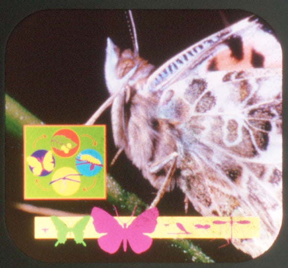 Bugs & Insects - Discovery Channel - View-Master 3 Reel Set - new WKT 3dstereo 