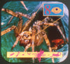 Bugs & Insects - Discovery Channel - View-Master 3 Reel Set - new WKT 3dstereo 