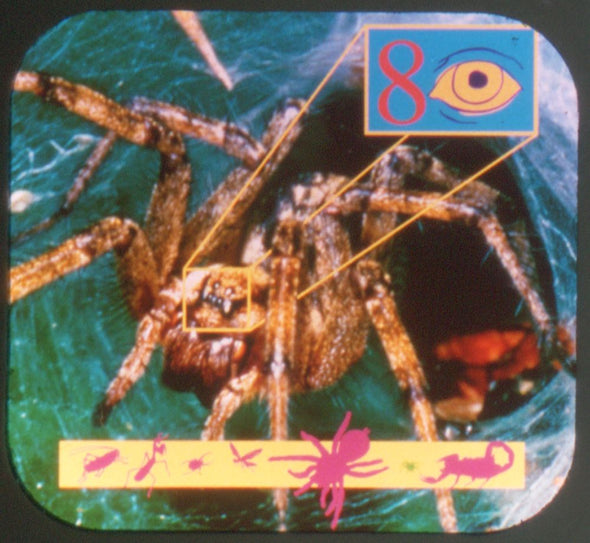 Bugs & Insects - Discovery Channel - View-Master 3 Reel Set - new WKT 3dstereo 