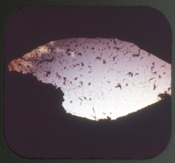 Carlsbad Caverns National Park - Set 2 - View-Master 3 Reel Set - new WKT 3dstereo 