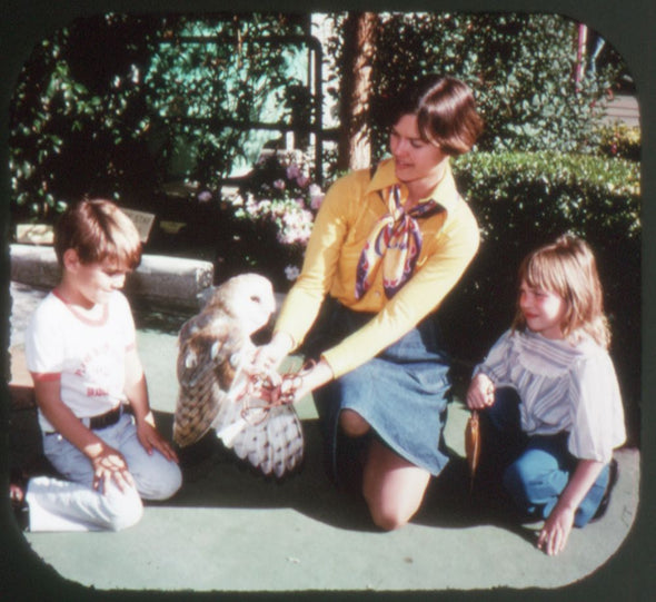 Children's Zoo - San Diego - View Master 3 Reel Set - AS NEW WKT 3dstereo 