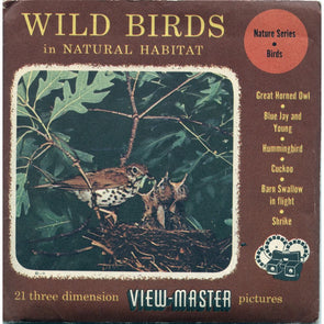 10 ANDREW - Wild Birds in Natural Habitats - View-Master 3 Reel Packet - 1955 - vintage - 895-A,B,C-S3 Packet 3dstereo 