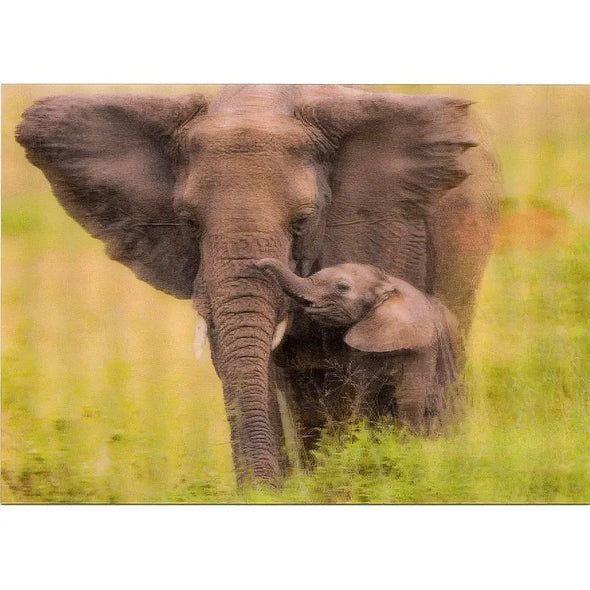 African Elephant and calf - 3D Lenticular Postcard Greeting Cardd - NEW Postcard 3dstereo 