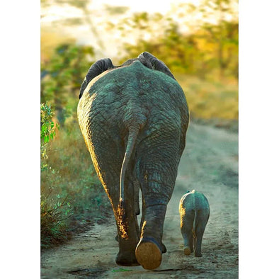 African Elephant and Calf - 3D Lenticular Postcard Greeting Cardd - NEW Postcard 3dstereo 