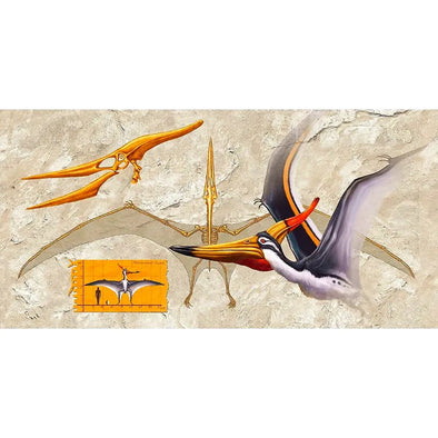 Anatomy of a Pteranodon - 3D Lenticular Oversize-Postcard Greeting Card - NEW Postcard 3dstereo 