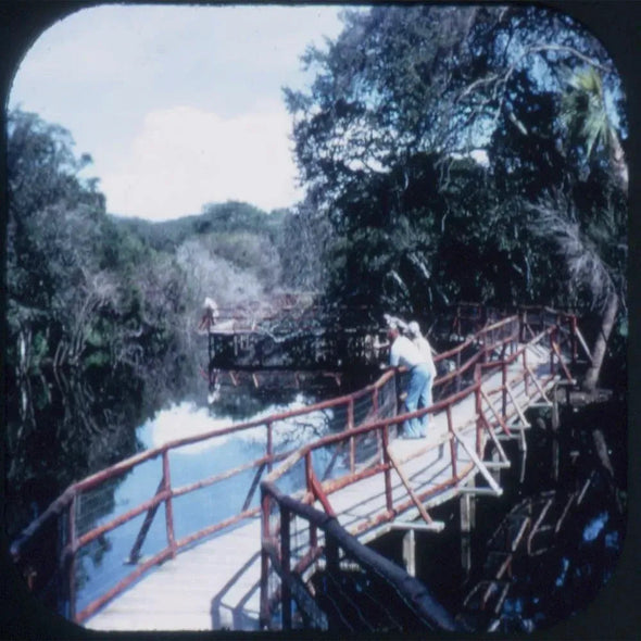 Alligator Farm - View-Master 3 Reel Packet - 1974 - vintage - (A940-G3A) Packet 3Dstereo.com 