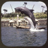 Sea World-Mission Bay Park-San Diego - View-Master 3 Reel Packet - 1960's Views - (A192-S6B)