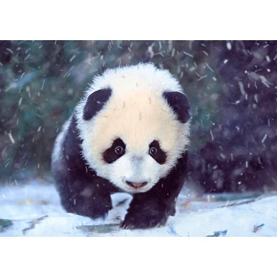 Baby Panda Snow - 3D Lenticular Postcard Greeting Cardd - NEW Postcard 3dstereo 