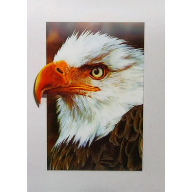 Bald Eagle Face - 3D Lenticular Poster - 12x16 - NEW Poster 3dstereo 