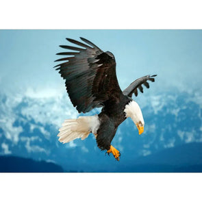 Bald Eagle about to land - 3D Lenticular Postcard Greeting Card Postcard 3dstereo 