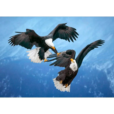 Bald Eagles in Mid-Air - 3D Lenticular Postcard Greeting Card Postcard 3dstereo 
