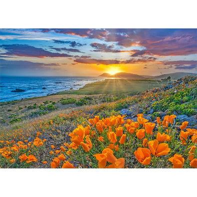Big Sur - 3D Action Lenticular Greeting Card - NEW