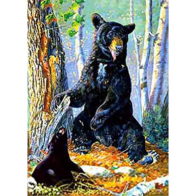 Black Bear with cub - Triple Views - 3D Action Lenticular Poster - 12x16 - 3 Images in 1  Poster- NEW