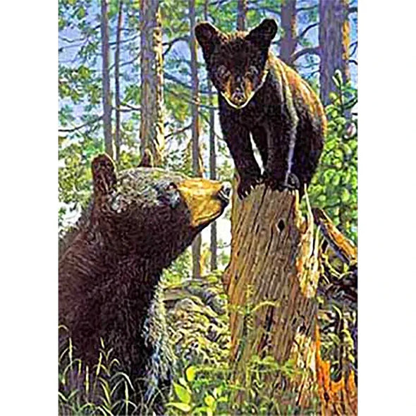 Black Bear with cub - Triple Views - 3D Action Lenticular Poster - 12x16 - 3 Images in 1  Poster- NEW