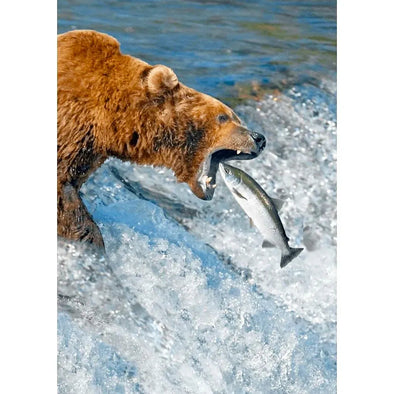 Brown Bear Catching Salmon - 3D Lenticular Postcard Greeting Cardd - NEW Postcard 3dstereo 