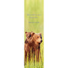BROWN BEAR & CUB - 3D Lenticular Bookmark - NEW